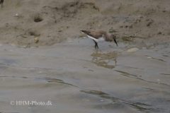 Ryle-Quinta-do-Lago-scaled