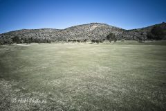 2026-03-13-8-La-Selle-GC-scaled
