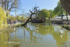 2026-05-01-32-Tivoli-scaled
