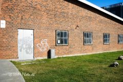 2026-08-24-30-Esbjerg-scaled