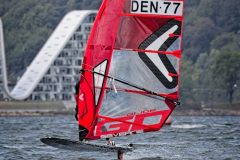 2026-08-22-316-Foil-og-Finne-DM-i-Vejle-scaled