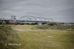 1_2026-06-16-1-Oddesund-scaled