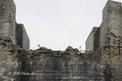 1_2026-06-16-92-Oddesund-scaled