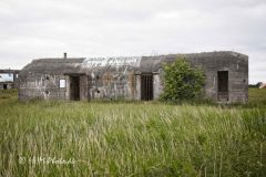 1_2026-06-16-93-Oddesund-scaled