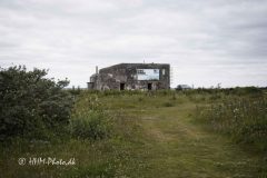 1_2026-06-16-96-Oddesund-scaled