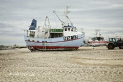 1_2026-06-17-138-Torup-Strand-scaled
