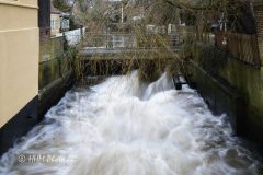 2026-01-16-25-Ribe-scaled