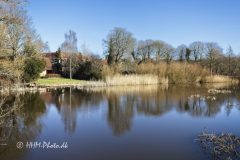 2026-03-04-8-Ribe-scaled