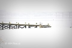 2026-01-05-15-scaled