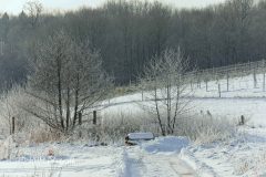 2026-01-11-115-scaled