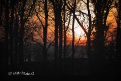 2026-01-20-53-Vinter-i-Vejle-scaled