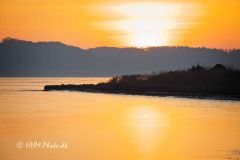 2026-01-20-54-Vinter-i-Vejle-scaled