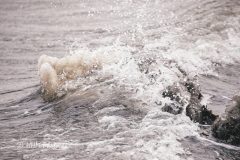 2026-02-01-27-scaled
