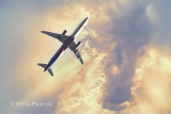 2024-02-01-44-Vejlefotos