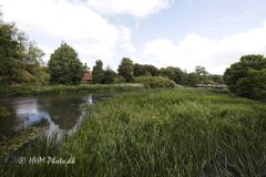 2026-07-03-61-Ribe-scaled