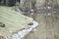 2025-03-06-33-Estepona-GC
