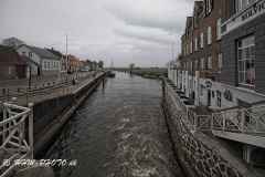 2025-04-13-3 Ribe