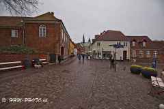 2025-04-13-5 Ribe