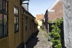 2025-05-10-3-Ribe