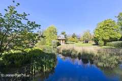 2025-05-10-31-Ribe