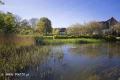 2025-05-10-35-Ribe