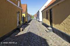 2025-05-10-5-Ribe