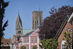 2025-05-12-37-Ribe-