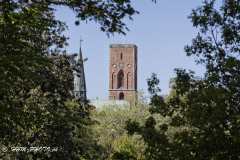 2025-05-12-39-Ribe-