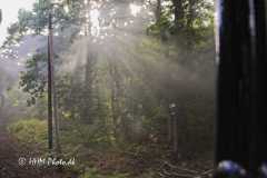 2025-07-05-162-Rasender-Roland