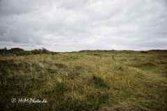 2025-07-21-141-Fjand