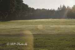 2025-10-01-22-Hof-Berg-GC