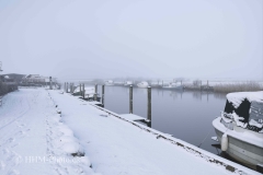 2024-01-16-12-Ribe