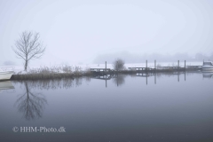 2024-01-16-14-Ribe