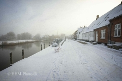 2024-01-16-16-Ribe