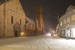 2024-01-16-23-Ribe