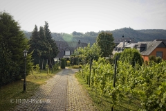2024-09-02-10-Krov