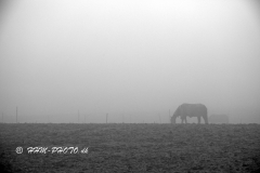 2025-01-19-13