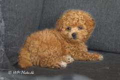 2025-07-14-8-Zimba