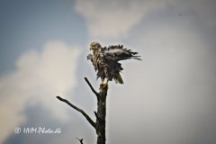 2025-07-18-26-Havoern