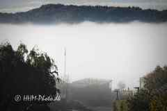 2025-10-19-16-Taage-over-Vejlefjord